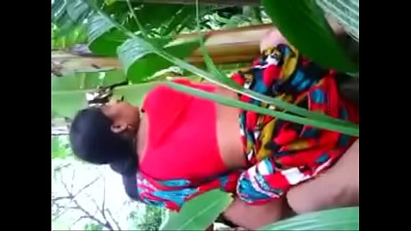 indian desi aunty doggy style sex with farmers in village